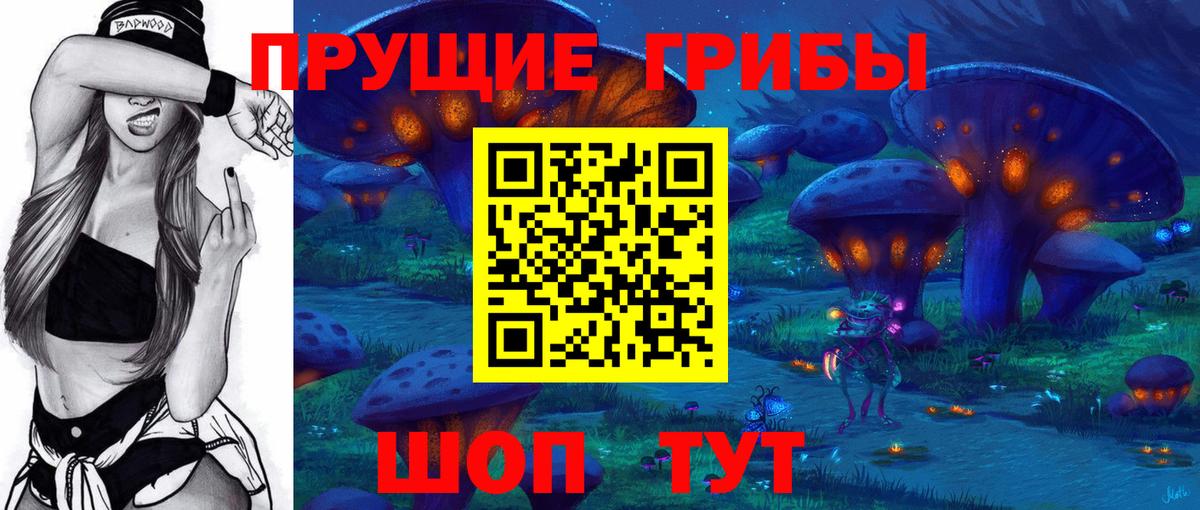 Псилоцибиновые грибы Psilocybe Братск