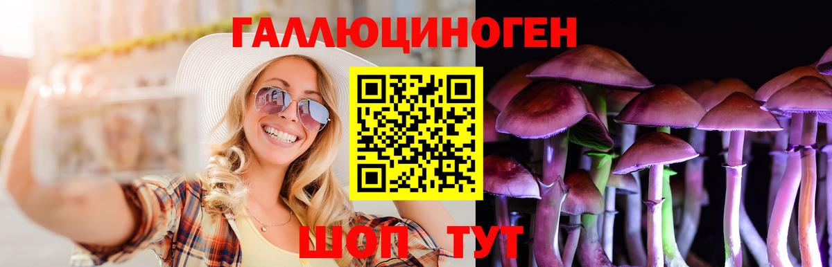 Братск  цена   Вход с VPN  Псилоцибиновые грибы Psilocybe 
